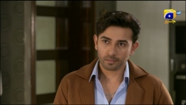 Kaffara - Episode 48 - 13th September 2024